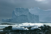 Icebergs in Biscoe Islands