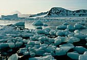 Ice floes around Antarctic coast