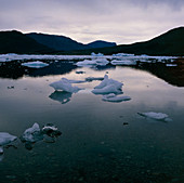 Eroded icebergs in a fjord