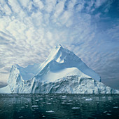 Iceberg in Disco Bay,Greenland
