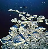 View of compacted icebergs in the sea by Greenland