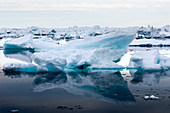 Arctic sea ice,Canada