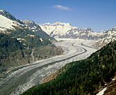 The Aletsch Glacier in the Swiss Alps