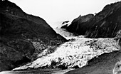 Franz Joseph Glacier in 1951