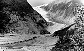 Franz Joseph Glacier in 1960