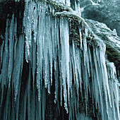 Icicles