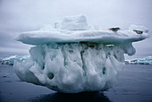 Sculptured iceberg