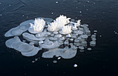 Ice structures