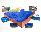 Artwork of Atlantic Ocean with marine habitats