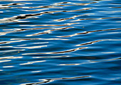 Ripples on a lake