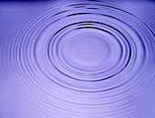 Ripples