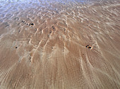 Patterns in sand on beach
