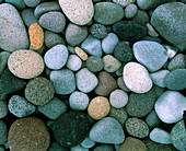 Close-up of rounded pebbles on a shoreline