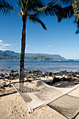 Beach with palm trees