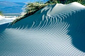 Sand dunes at Dyfi estuary