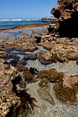 Exposed rocks and tidal pools