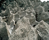 Coastal erosion of limestone