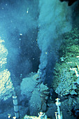 Black smoker hydrothermal vents