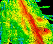 Sonar image of ocean floor showing mid-ocean ridge