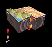 Earthquake seismic wave types,artwork