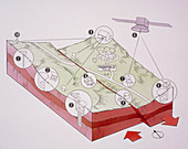 Diagram of seismic instruments at Parkfield