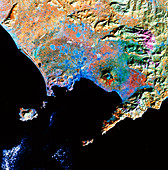 Vesuvius & Naples seen from space,Landsat 4 TM