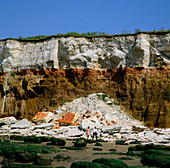 Rock strata in cliff