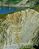 Folded strata in Stair Hole cliffs,Dorset
