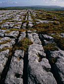 Carboniferous limestone pavement with ridges/cleft