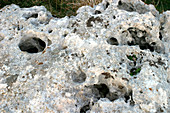 Karst erosion in the Italian Apennines
