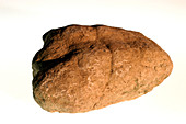 Rock formed from loess
