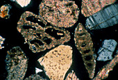 Cross polarised light micrograph of sand grains