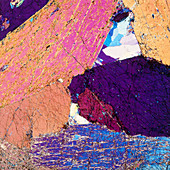 Polarised LM of thin section of Hornnlende