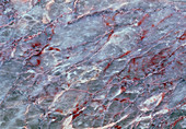 Cut surface of marble with impurities
