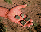 Samples of trinitite at Trinity site,New Mexico