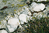 Quartzite rocks