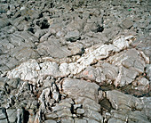 Quartz mineral in limestone rock