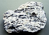Tourmaline in gneiss rock