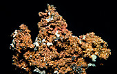 A specimen of copper ore
