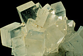 Cubic crystals of rock salt