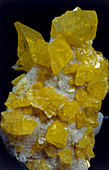 Yellow sulphur crystals