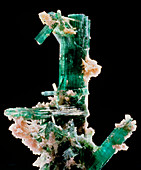 Crystals of green toumaline and pink lepidolite