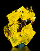 Aggregate of yellow autunite crystals