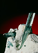 Aquamarine crystals embedded in kaolin
