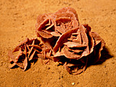 Rosette-shaped gypsum known as a desert rose