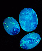 Blue opal gemstones