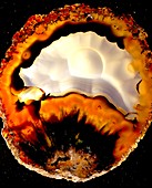 Agate