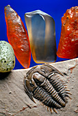 Wind-abraided stones and trilobite fossil