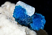 Cavansite and stilbite crystals