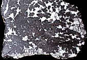 Silver deposits in quartzite
